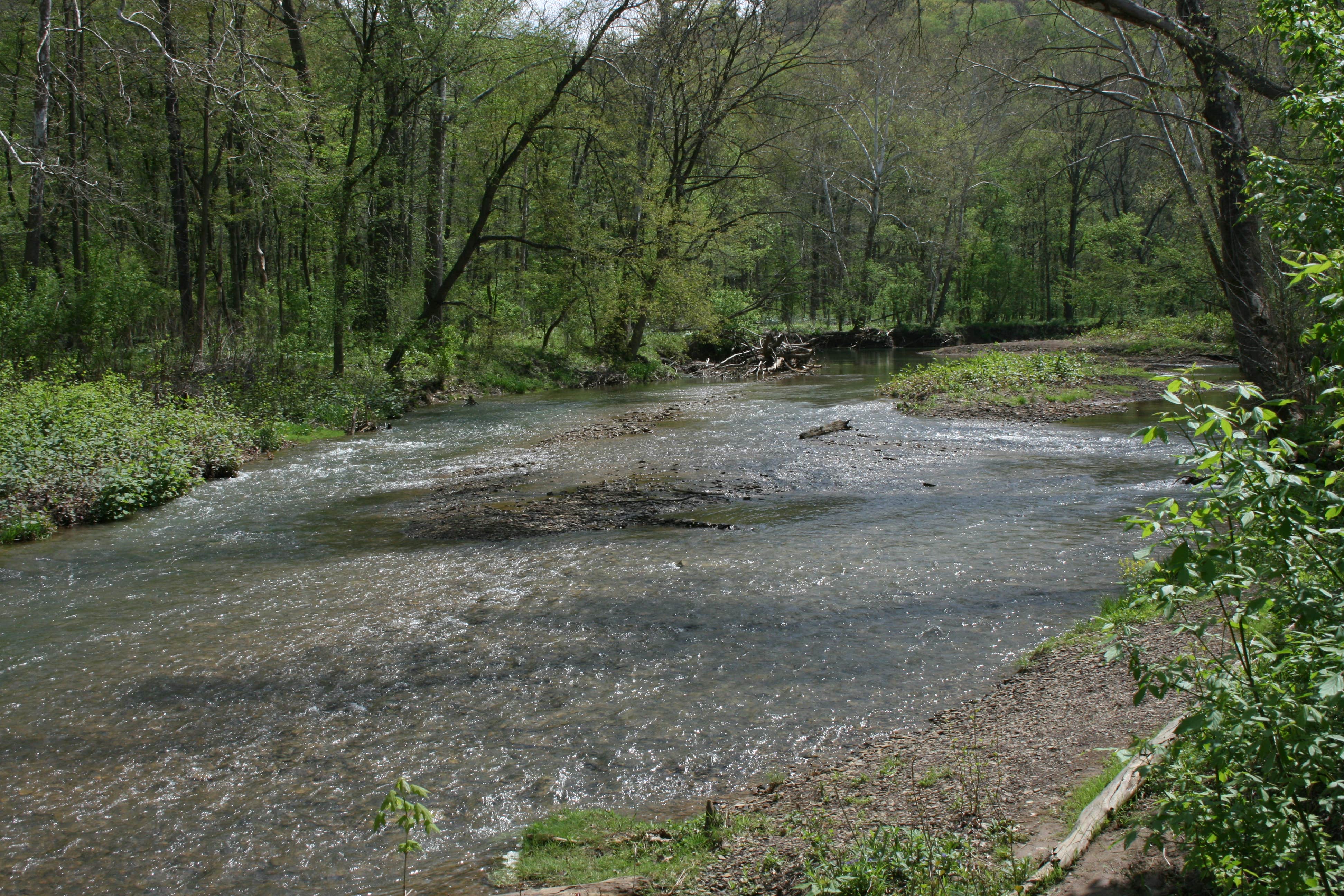 Camper submitted image from Raccoon Creek State Park Campground - 5