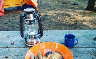 Ashley Y.'s photo at Millersylvania State Park Campground near Centralia, WA