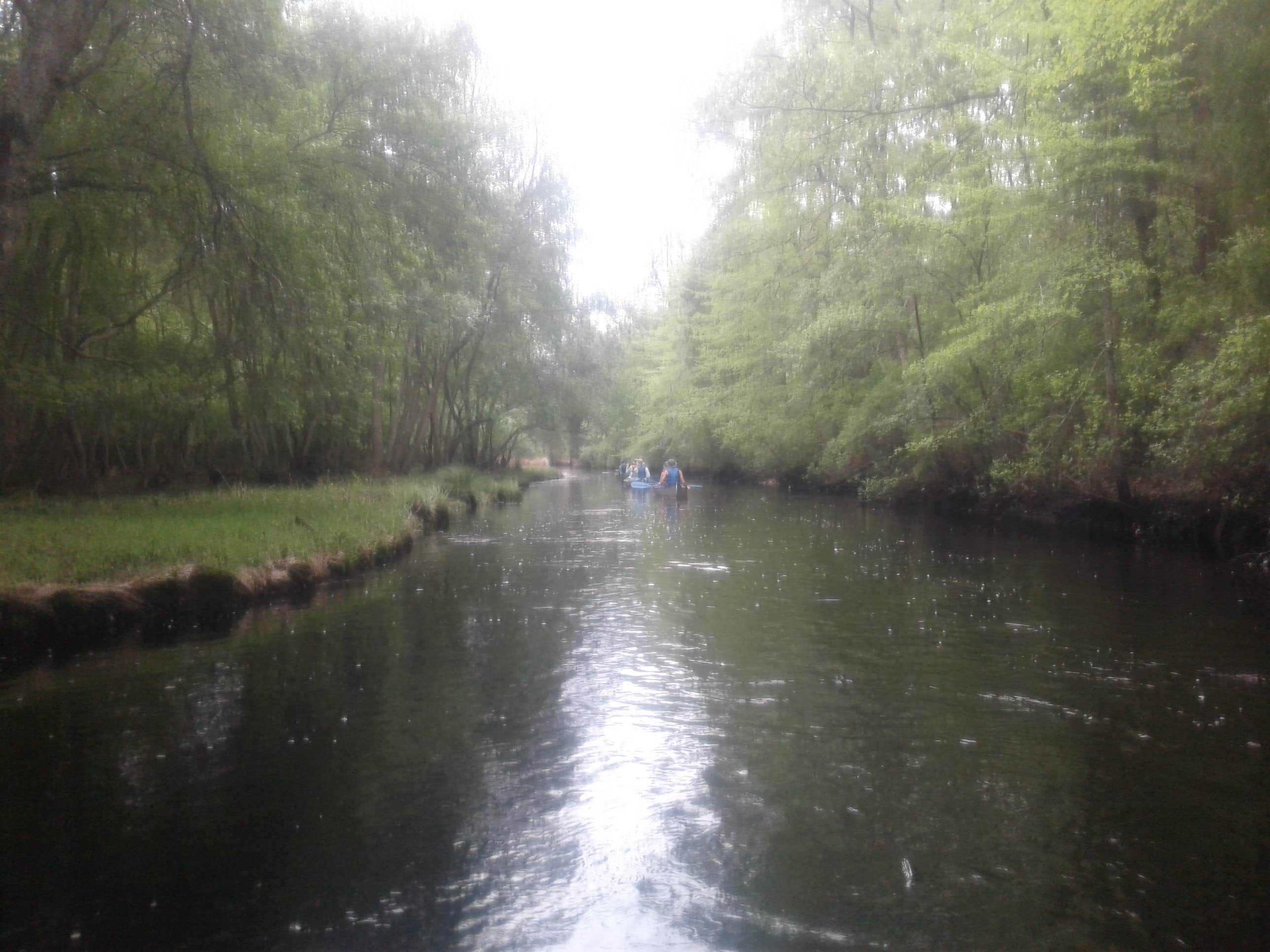 Camper-submitted photo at Hawkins Bridge — Wharton State Forest near Hammonton, NJ