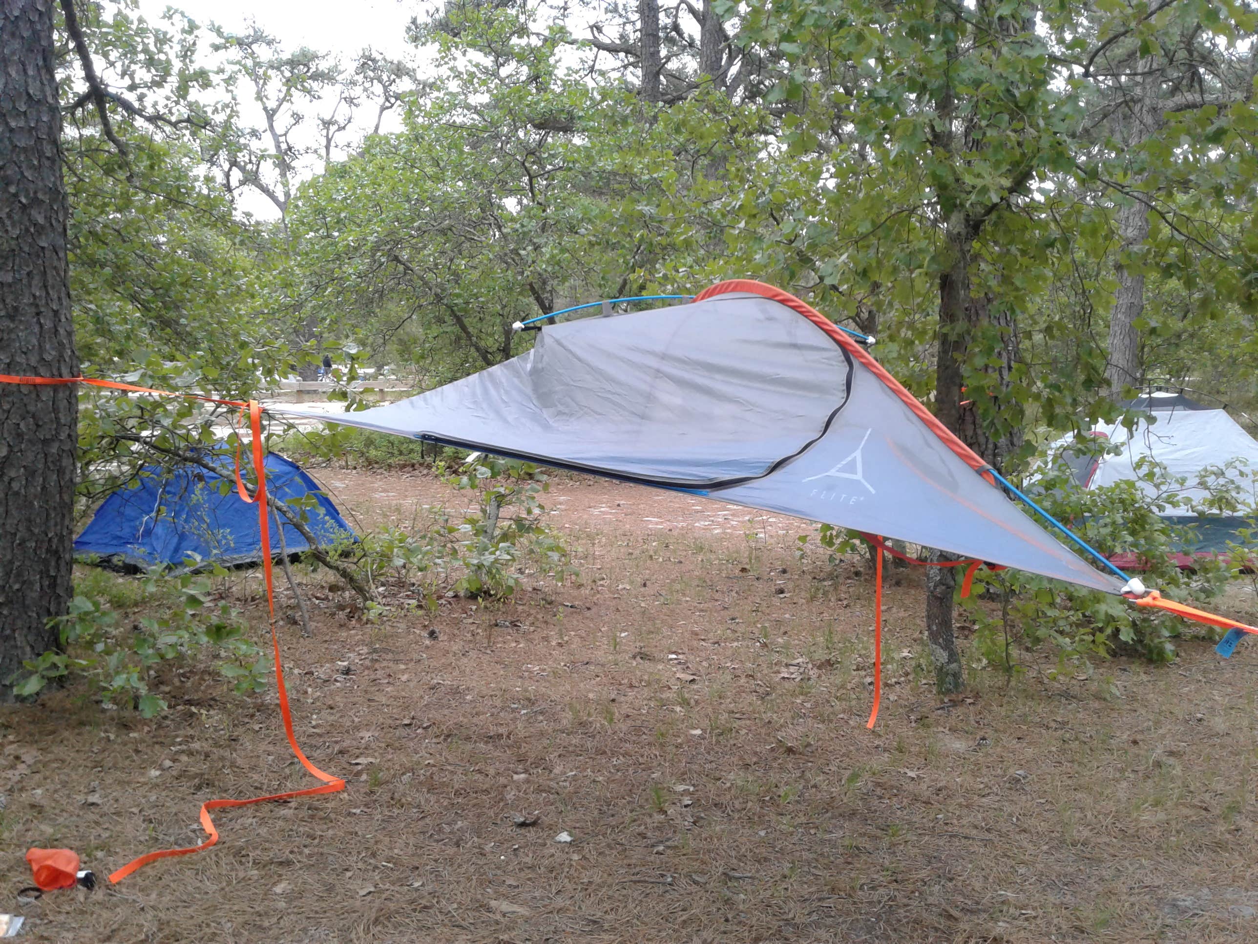 Camper submitted image from Hawkins Bridge — Wharton State Forest - 4
