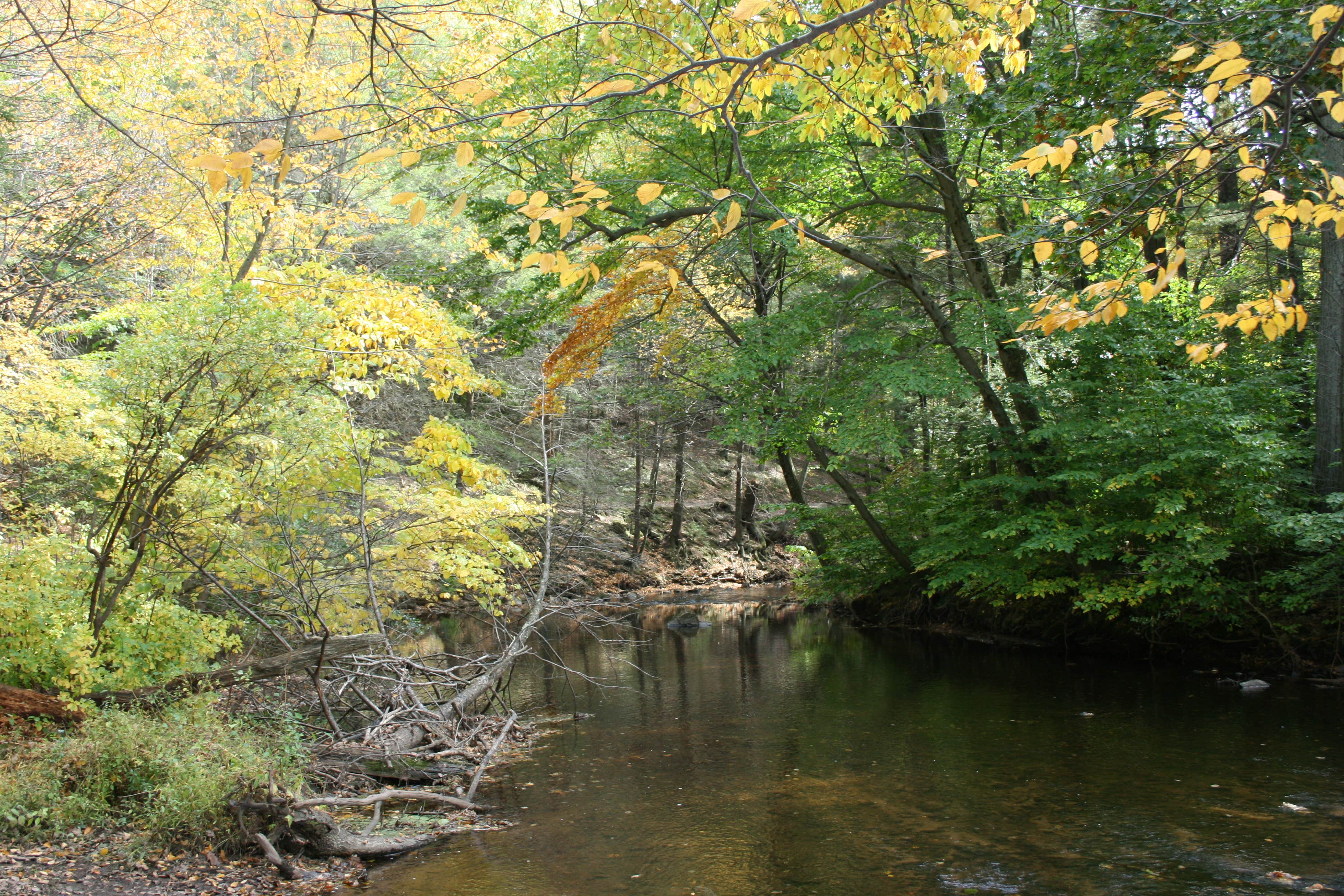 Camper submitted image from Sleeping Giant Picnic Shelter - CLOSED - 2