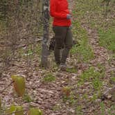 Review photo of Bean and Bear Lakes Hike-In — Tettegouche State Park by ERolf P., May 22, 2017