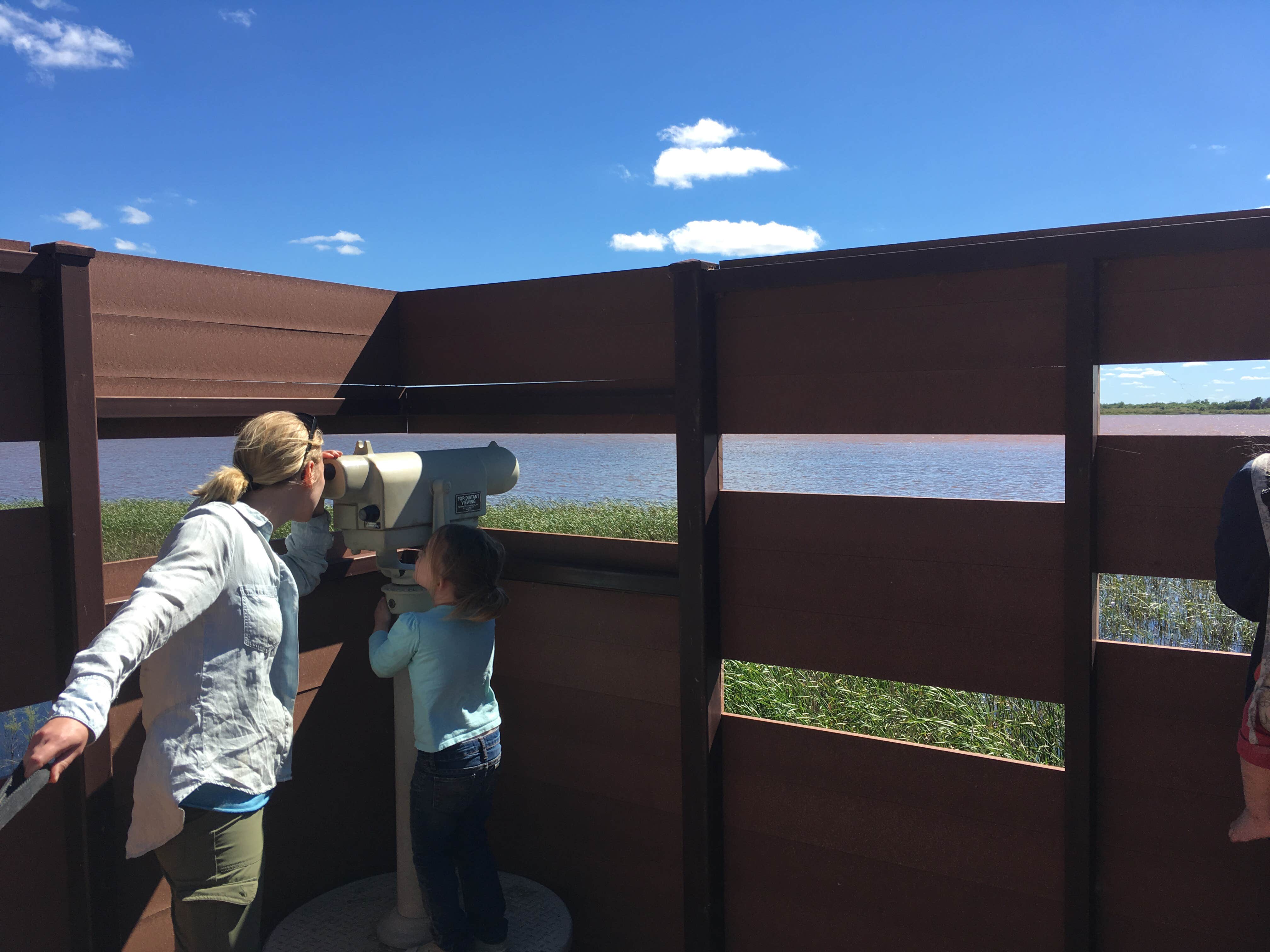 Camper submitted image from Salt Plains State Park Campground - 5