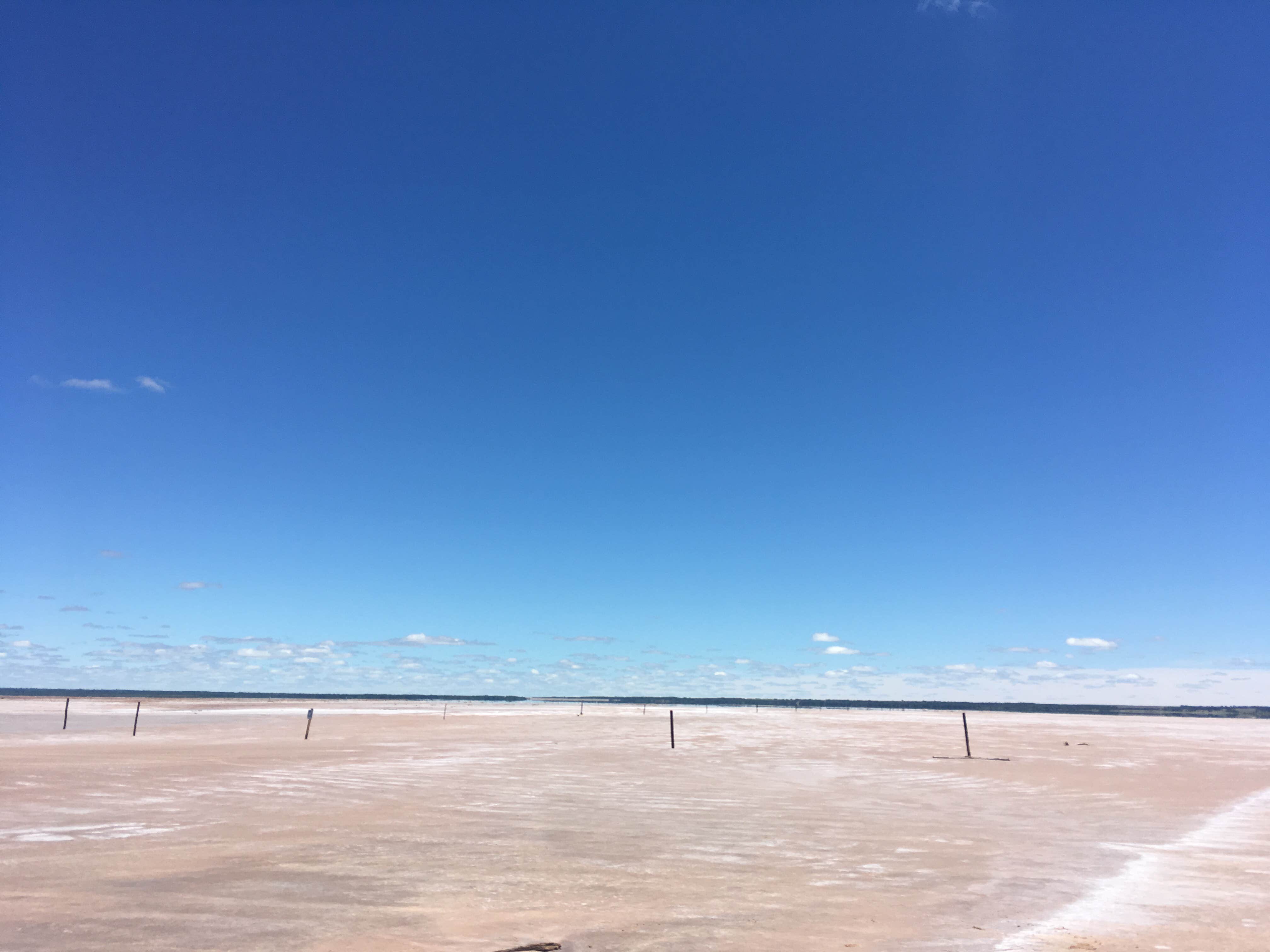 Camper submitted image from Salt Plains State Park Campground - 2
