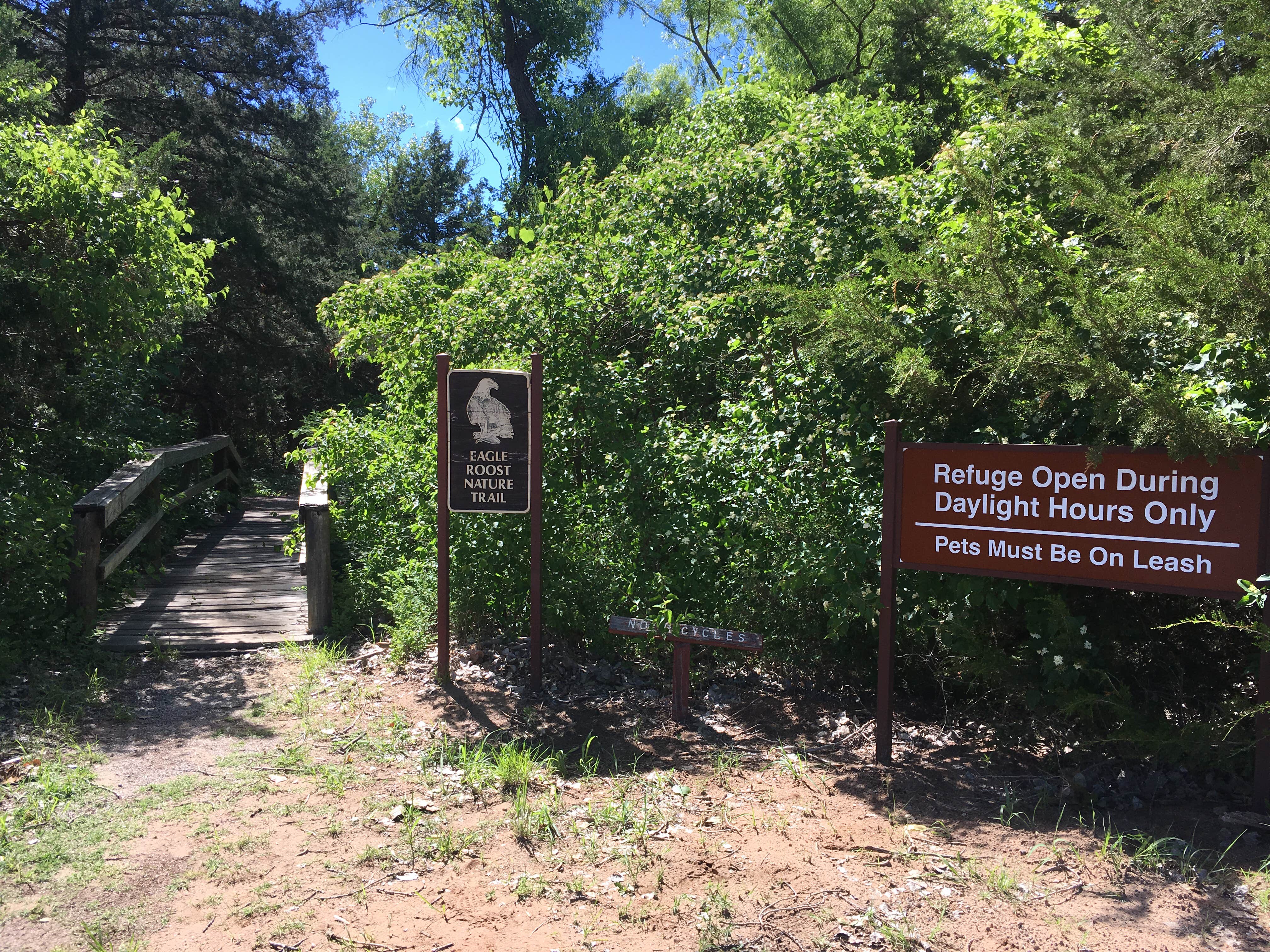 Camper submitted image from Salt Plains State Park Campground - 4
