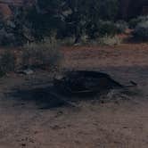Review photo of Devils Garden Campground — Arches National Park by Sarah S., February 18, 2015