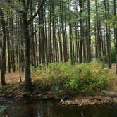 Review photo of Sleeping Giant Picnic Shelter - CLOSED by Danielle V., June 18, 2016