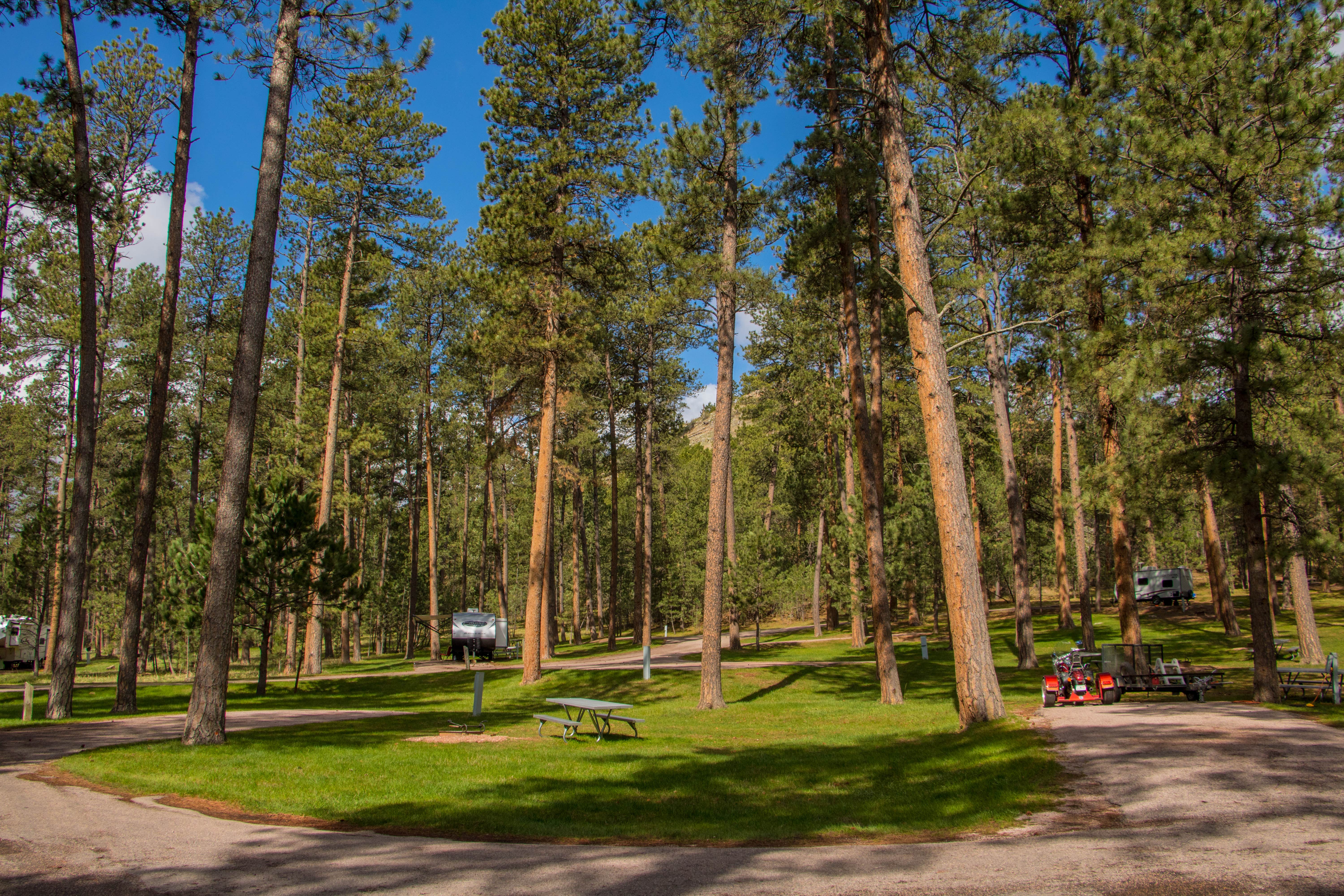 Camper submitted image from Blue Bell Campground — Custer State Park - 1
