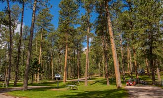 Camping near Rifle Pit: Blue Bell Campground — Custer State Park, Custer, South Dakota