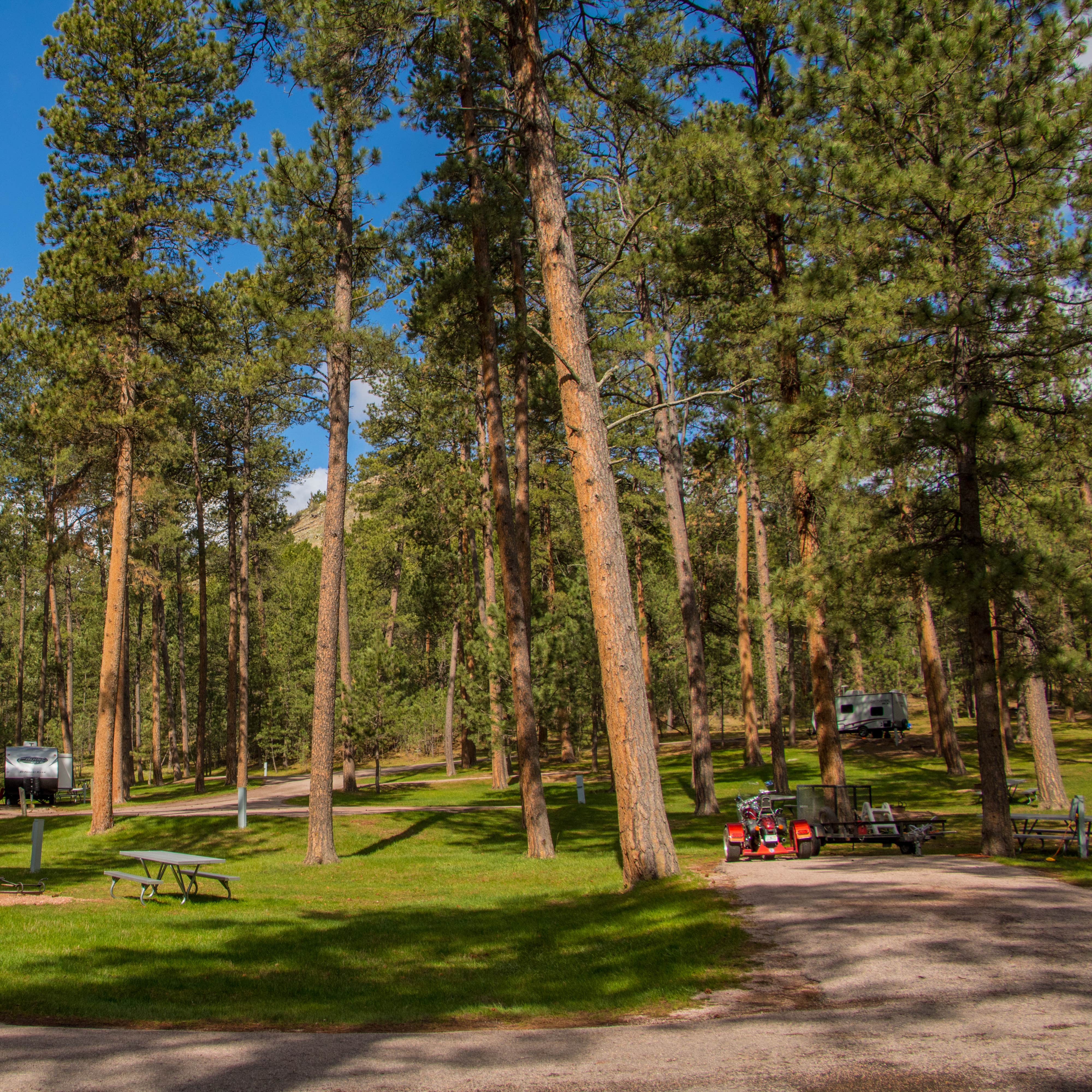 Blue Bell Campground — Custer State Park