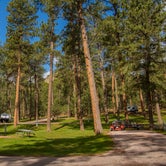 Review photo of Blue Bell Campground — Custer State Park by Shari  G., May 23, 2017
