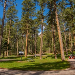 Blue Bell Campground — Custer State Park