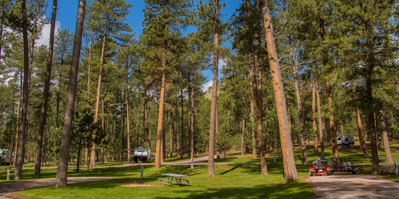 Camper submitted image from Blue Bell Campground — Custer State Park