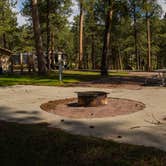 Review photo of Blue Bell Campground — Custer State Park by Shari  G., May 23, 2017