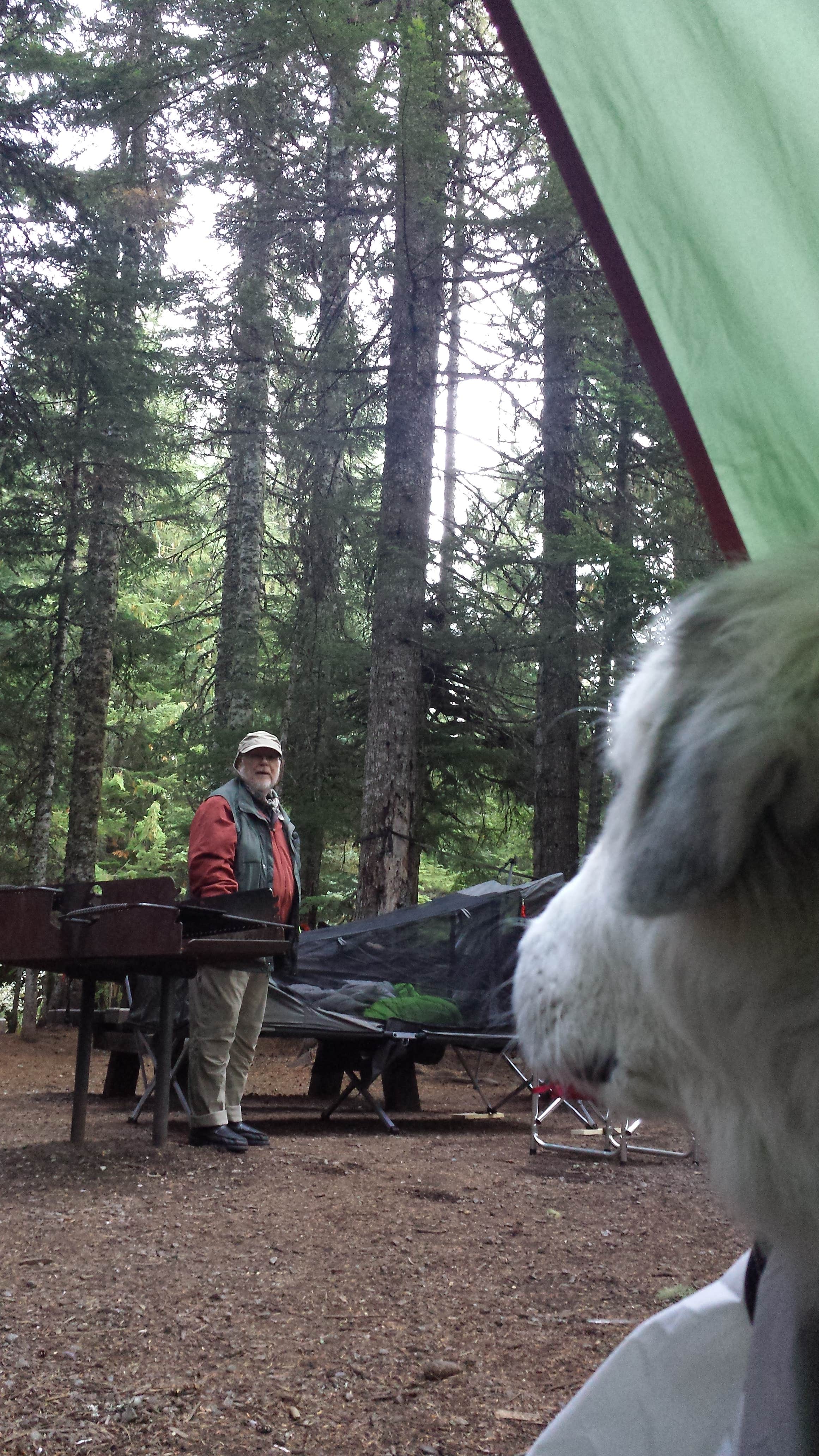 Camper submitted image from Trillium Lake - 3