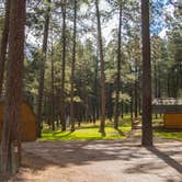 Review photo of Blue Bell Campground — Custer State Park by Shari  G., May 23, 2017