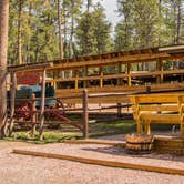 Review photo of Blue Bell Campground — Custer State Park by Shari  G., May 23, 2017