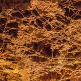 Review photo of Elk Mountain Campground — Wind Cave National Park by Shari  G., May 23, 2017