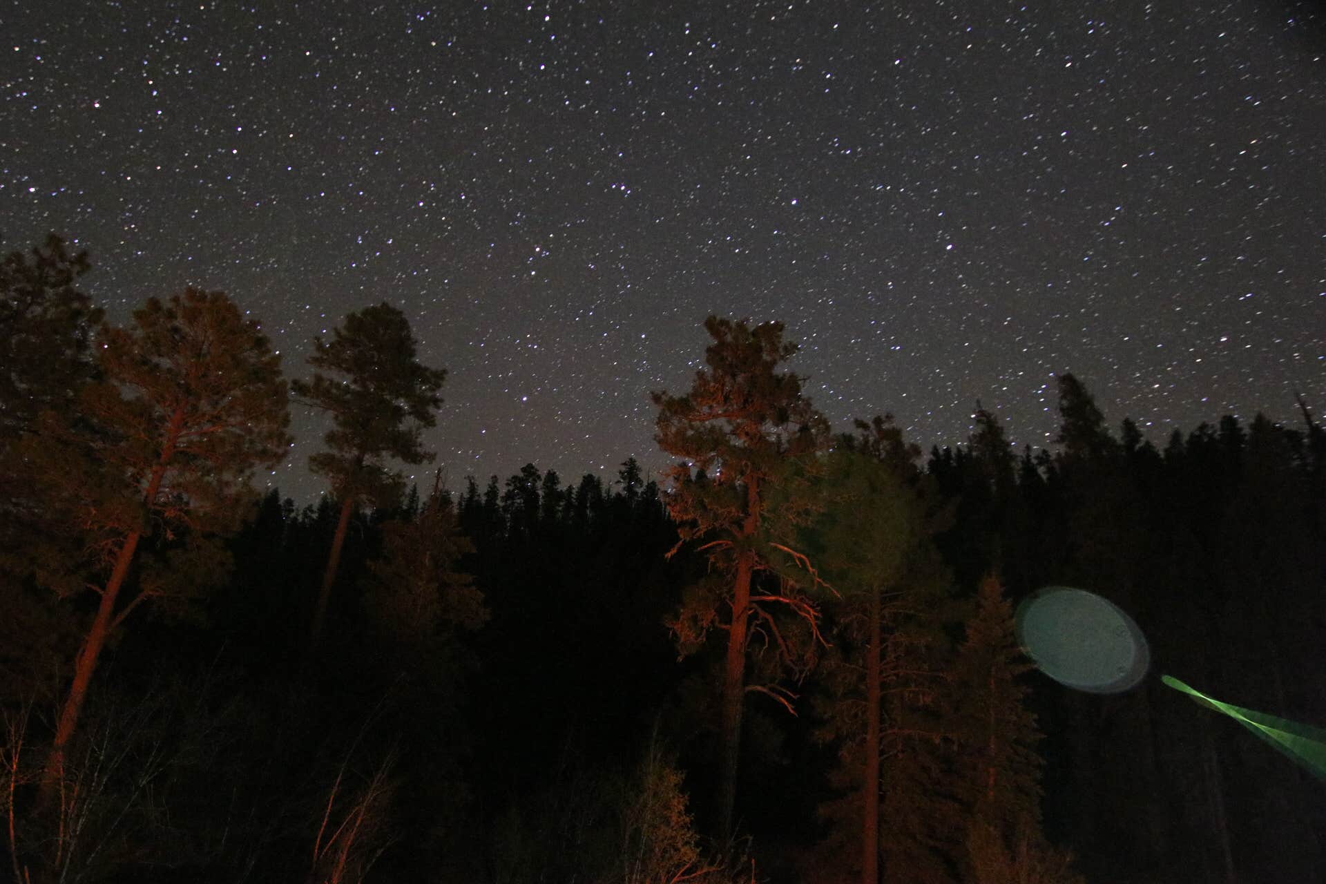 Camper-submitted photo at Ben Lilly Campground near Gila National Forest
