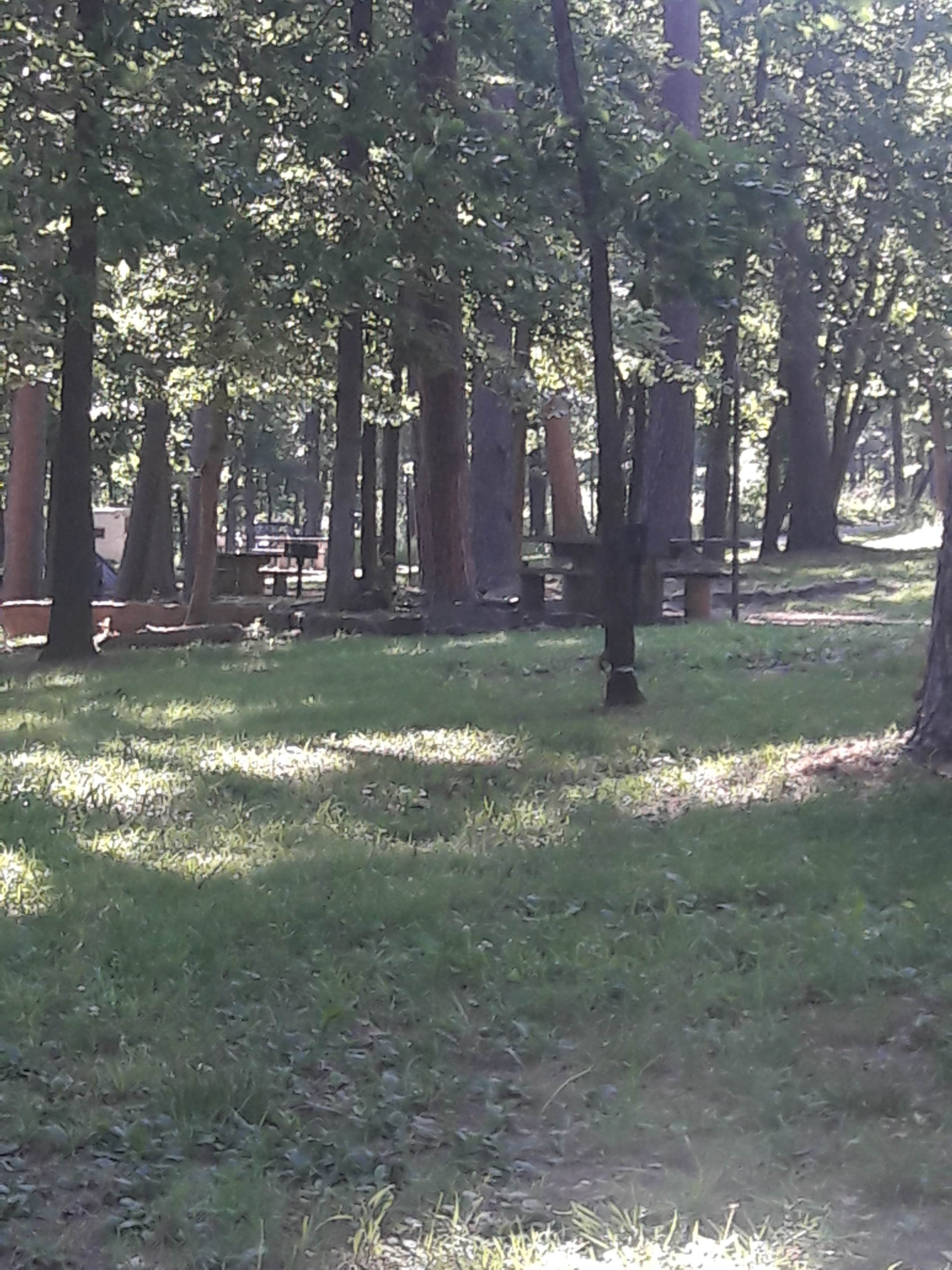 Camper submitted image from Lake Wedington -- Temporarily CLOSED - 2