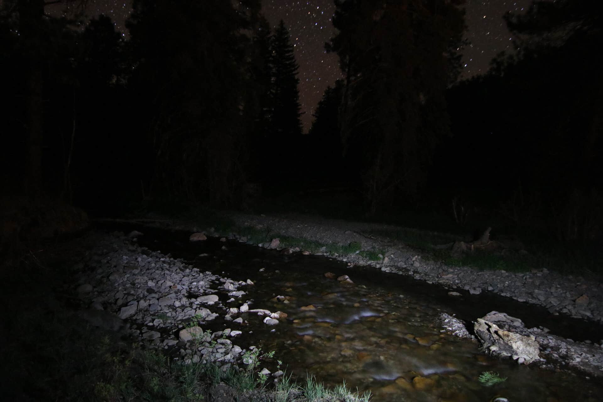 Camper submitted image from Ben Lilly Campground - 1