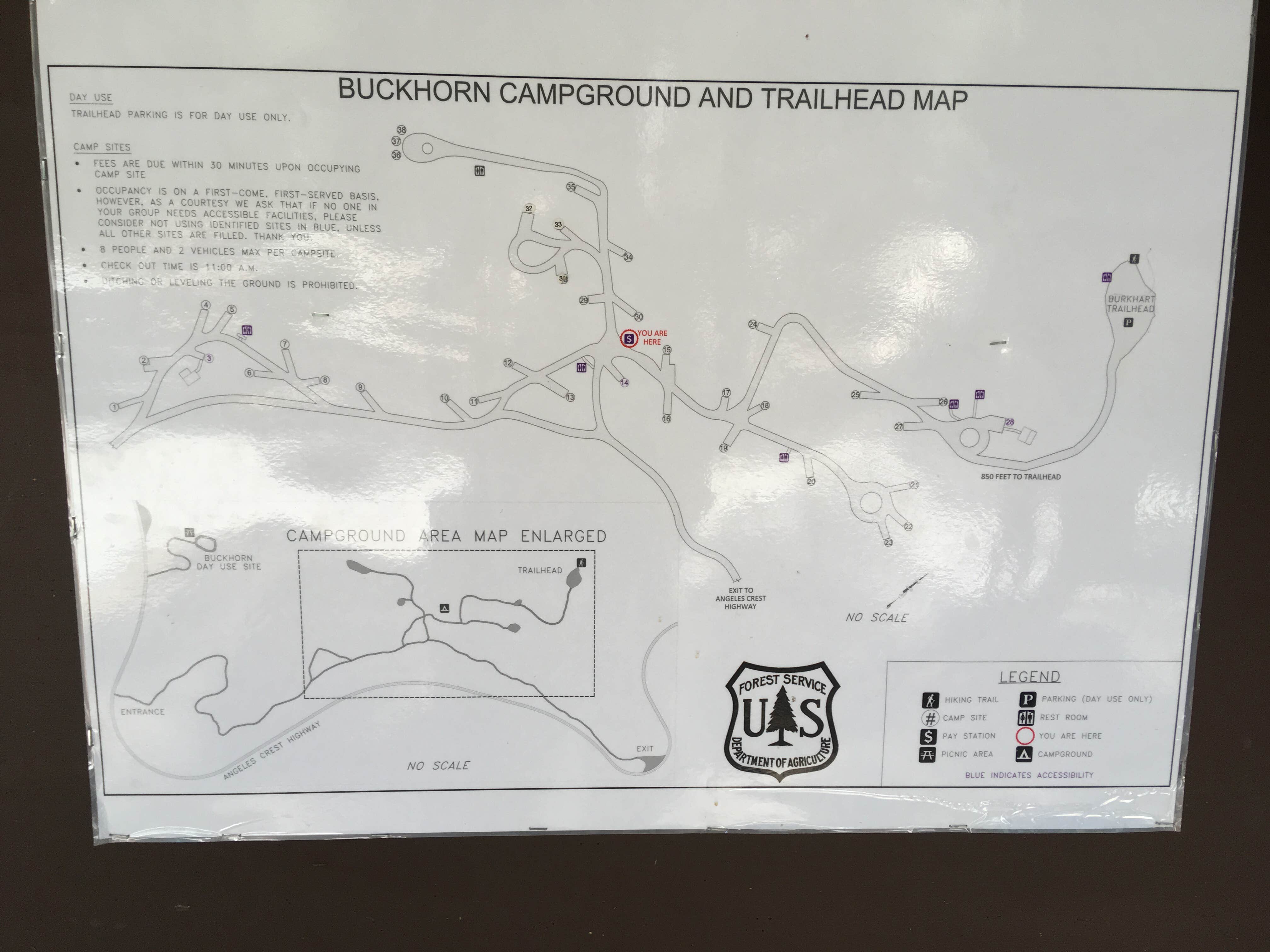Camper submitted image from Buckhorn Campground - 5