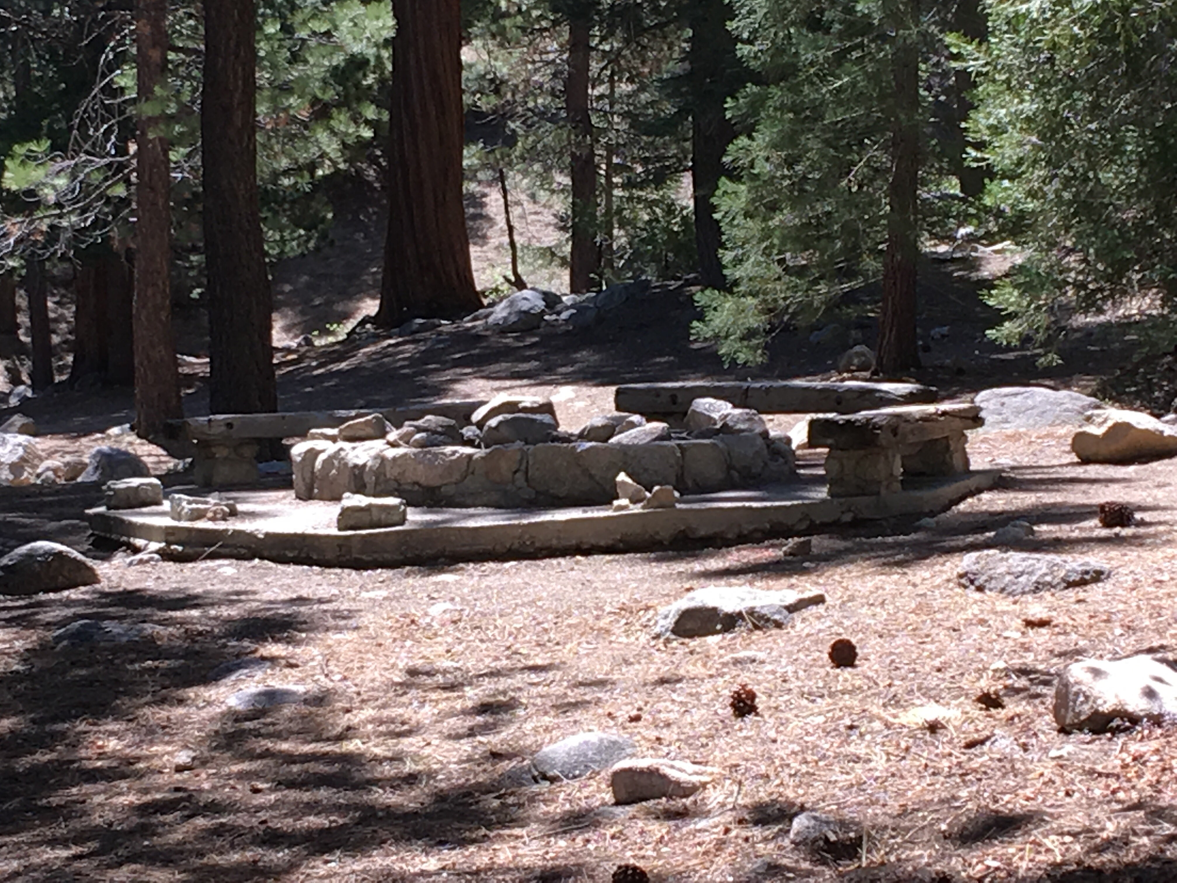 Camper submitted image from Buckhorn Campground - Temporarily Closed - 2