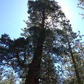 Review photo of Buckhorn Campground by Alexa S., May 24, 2017