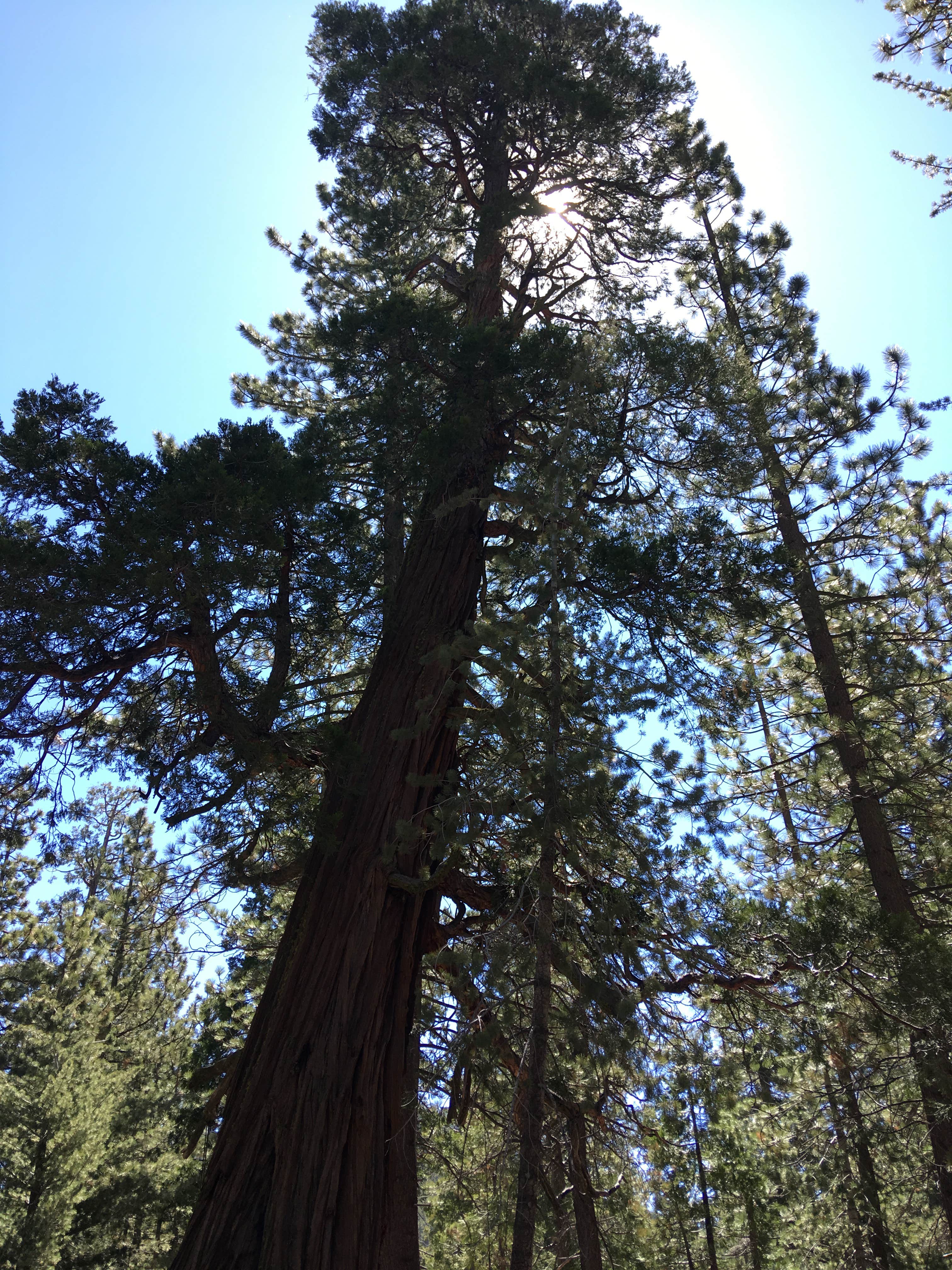 Camper submitted image from Buckhorn Campground - 1