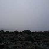 Review photo of Gold Bluffs Beach Campground — Prairie Creek Redwoods State Park by Jen R., May 24, 2017