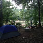 Review photo of The Sandbar Kayaking and Zipline Cabins by Fain H., May 24, 2017