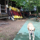 Review photo of The Sandbar Kayaking and Zipline Cabins by Fain H., May 24, 2017