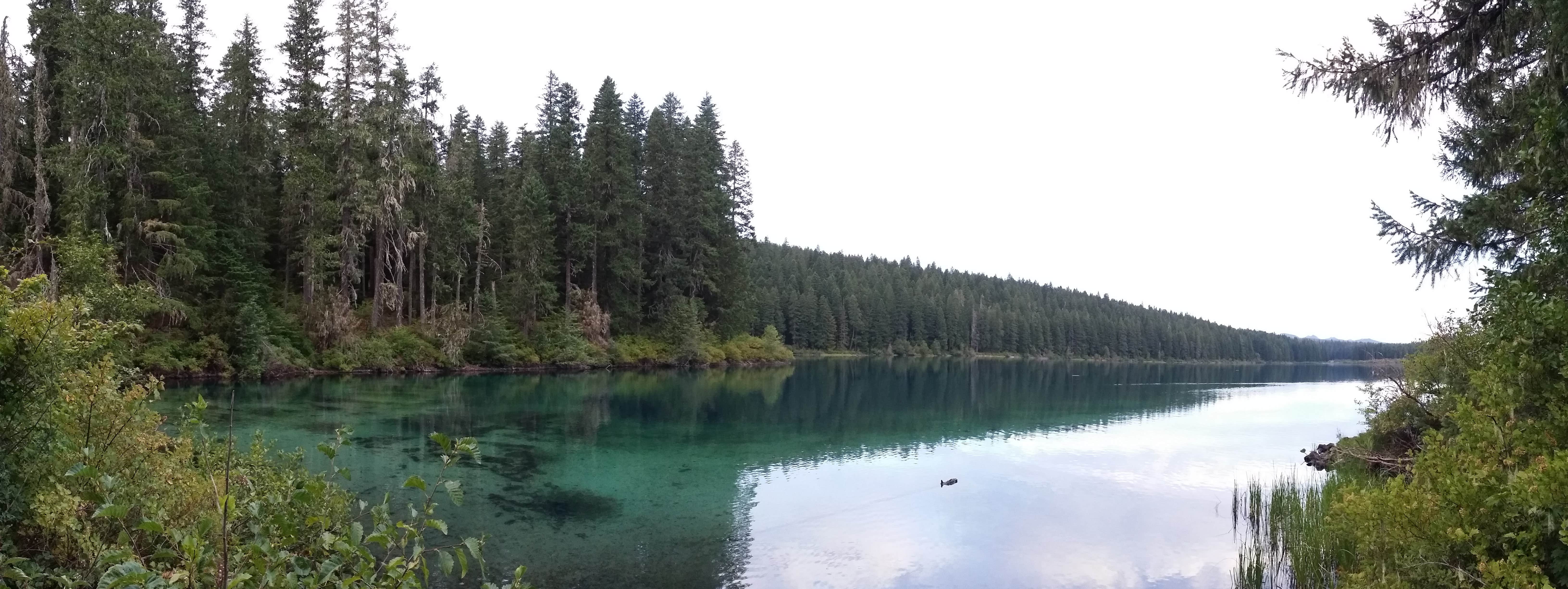 Camper-submitted photo at Coldwater Cove Campground near Idanha, OR