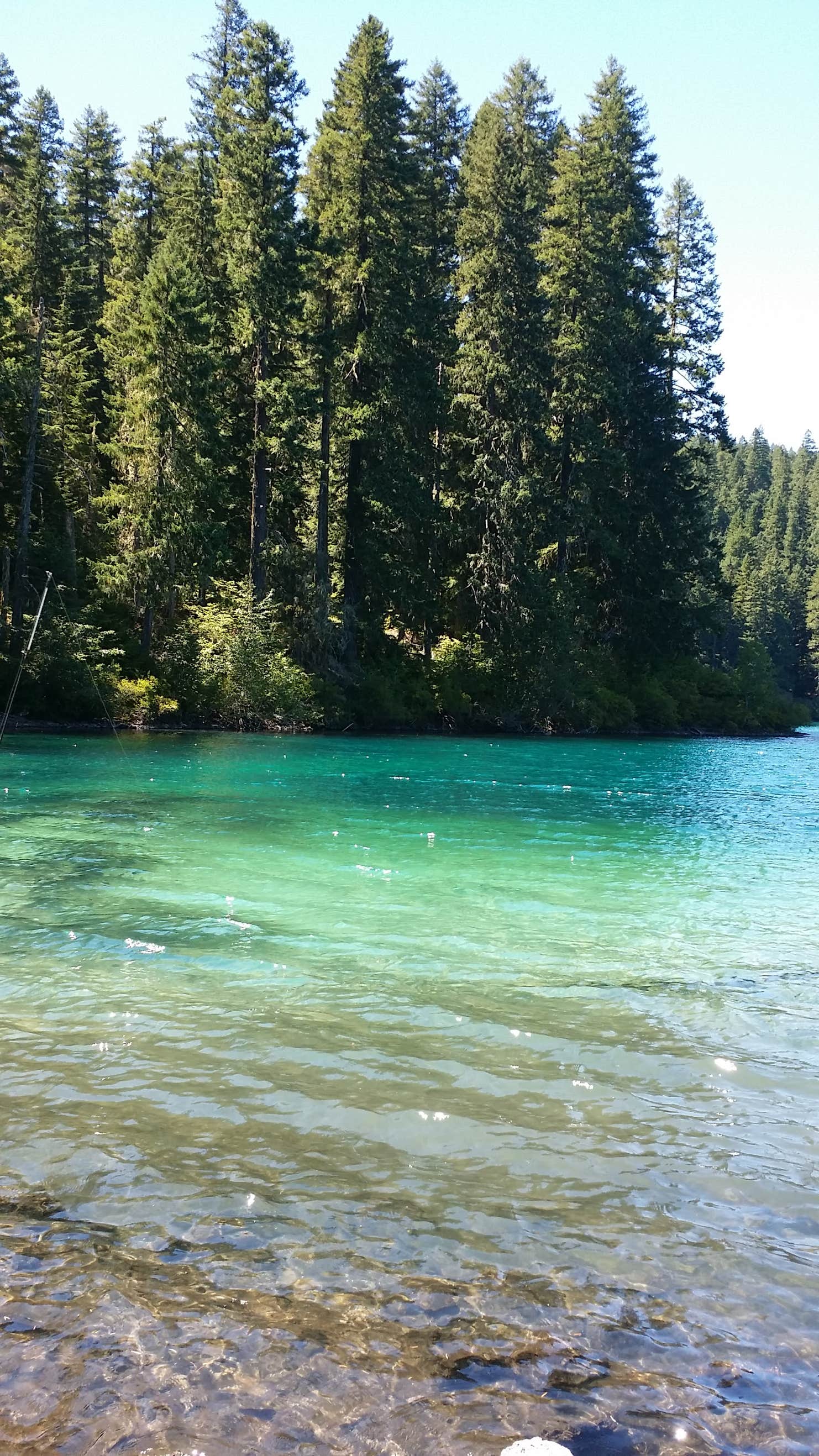 Coldwater Cove Campground Camping The Dyrt