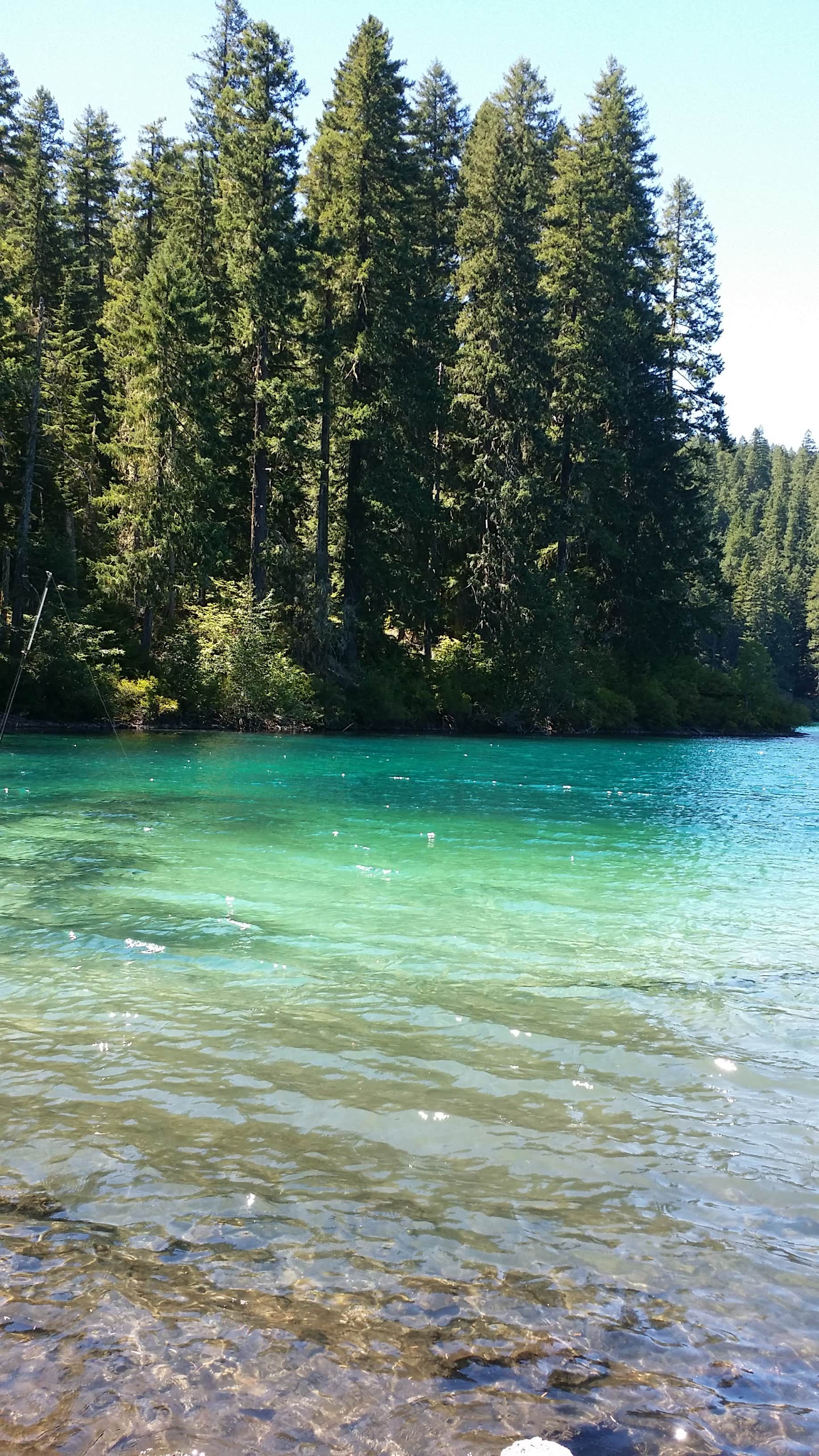 Camper submitted image from Coldwater Cove Campground - 2
