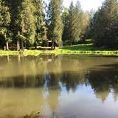 Review photo of Camp Kuratli at Trestle Glen by Corinna B., May 24, 2017