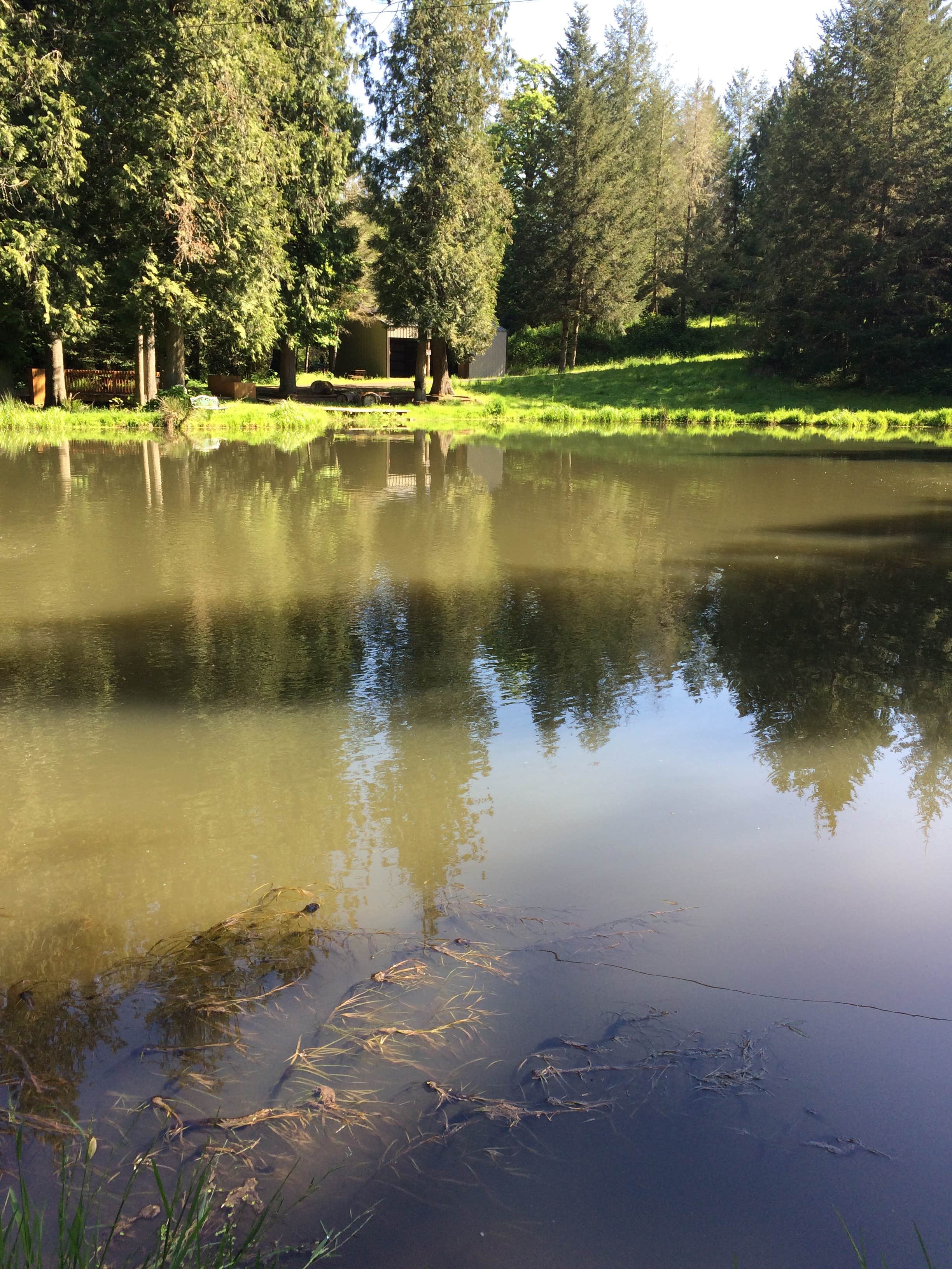 Camper submitted image from Camp Kuratli at Trestle Glen - 5