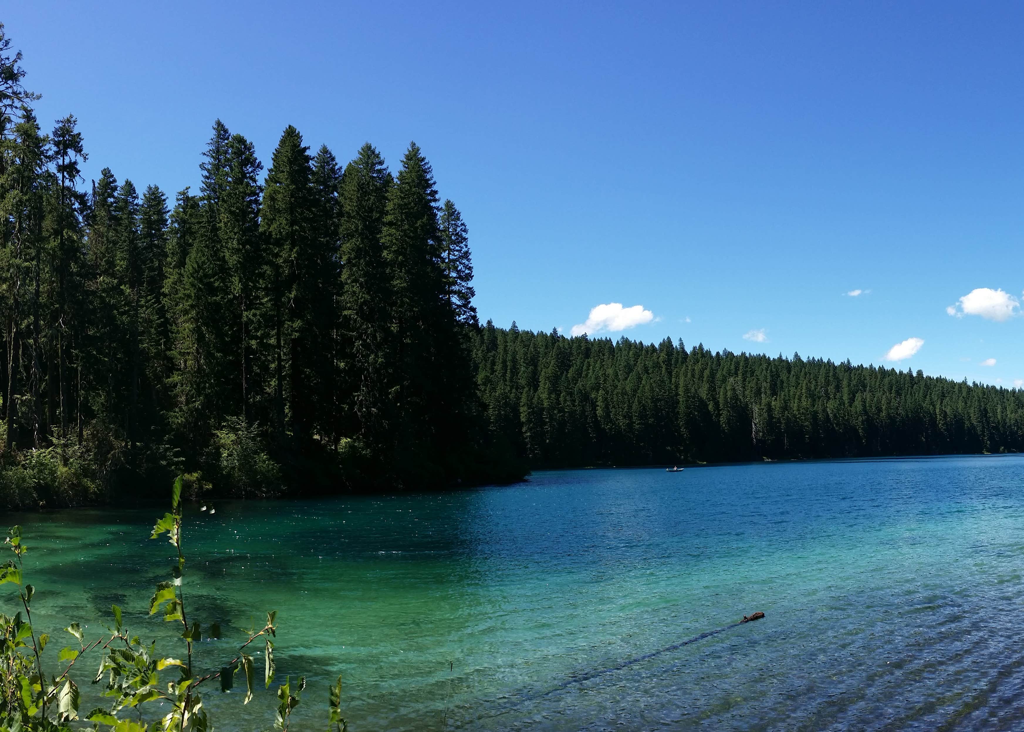 Coldwater Cove Campground Camping The Dyrt