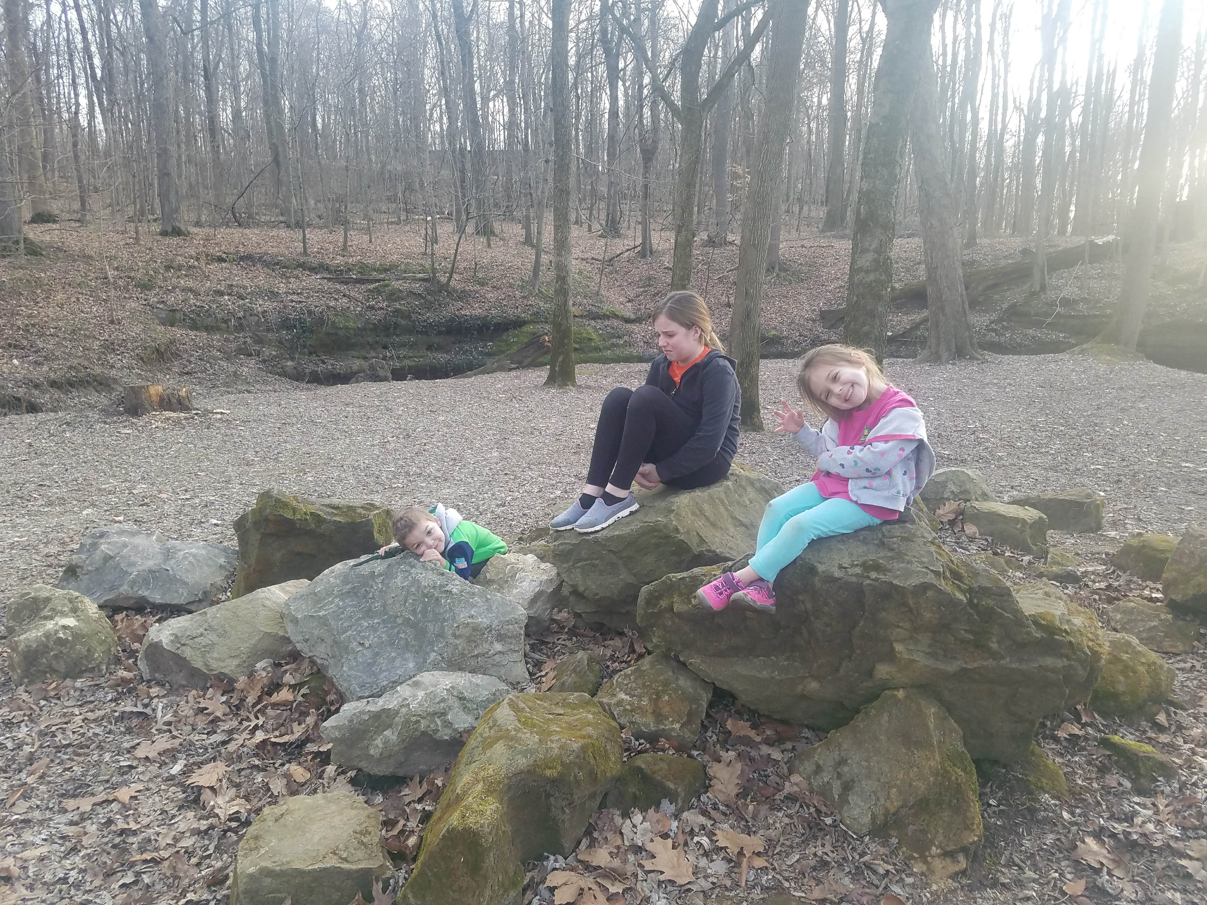 Camper submitted image from Ouabache Trails County Park - 3