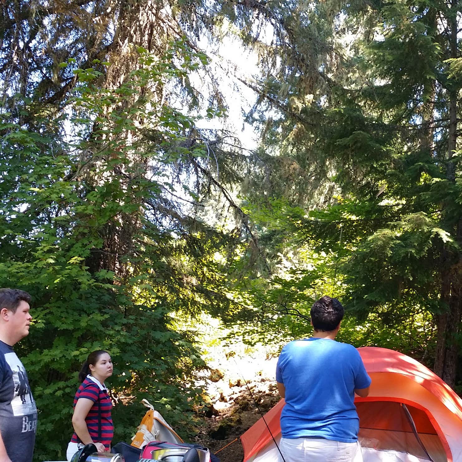 Coldwater Cove Campground Camping The Dyrt