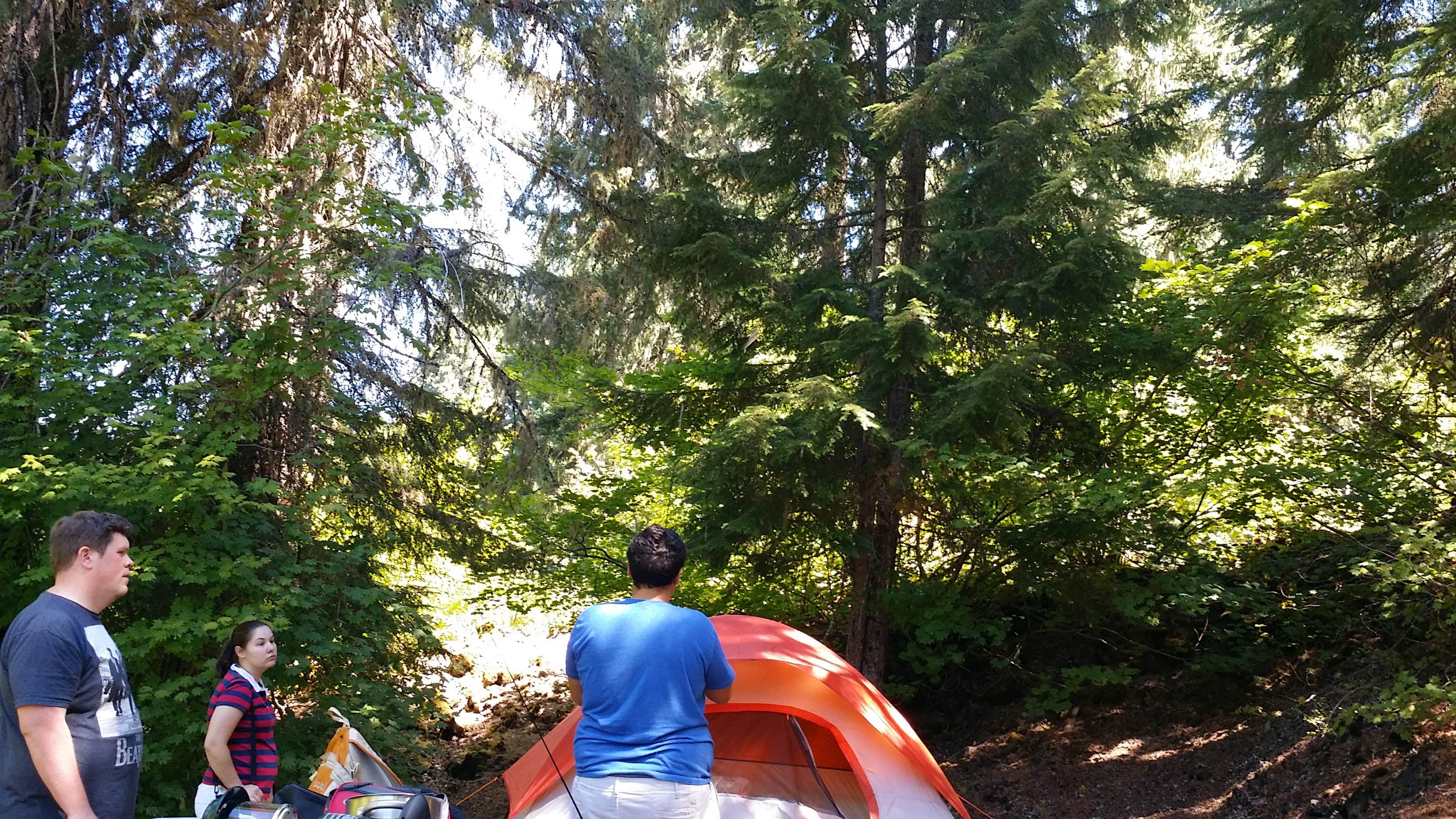 Escape to Enchantment: Uncovering the Magic of Coldwater Campground