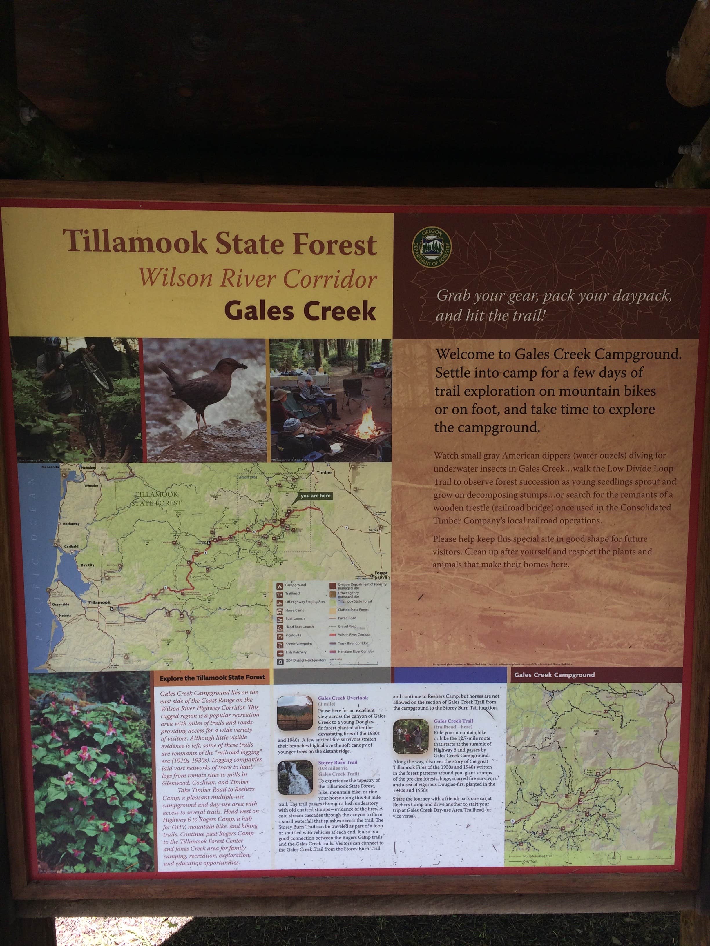 Camper-submitted photo at Gales Creek Campground near Hillsboro, OR