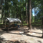 Review photo of Goose Creek State Park Campground by Chip G., June 18, 2016