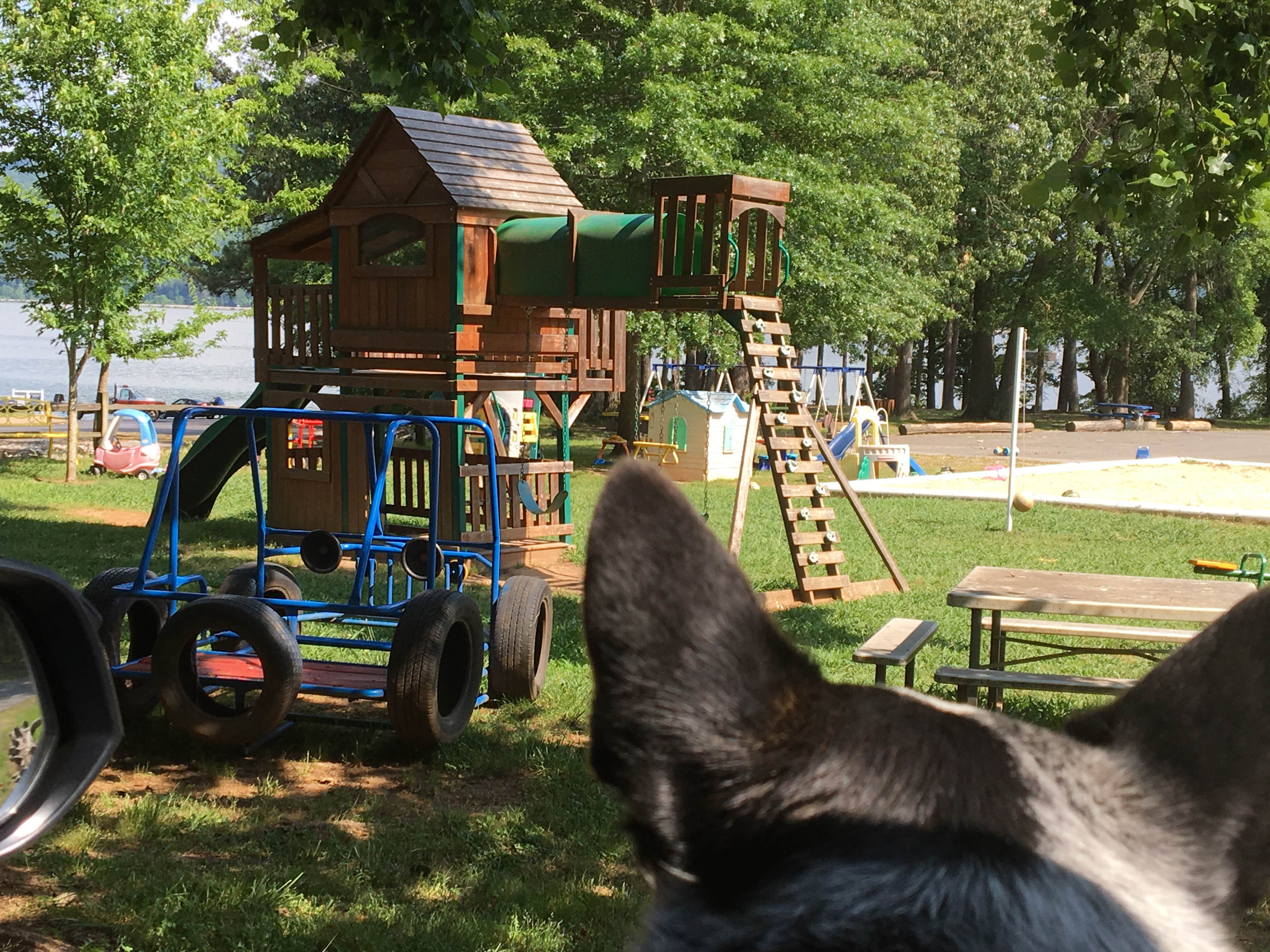 Camper-submitted photo at Shellmound RV Resort & Campground near Trenton, GA