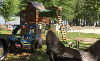 Shelly S.'s photo of camping with pets at Shellmound RV Resort & Campground near Whiteside, TN