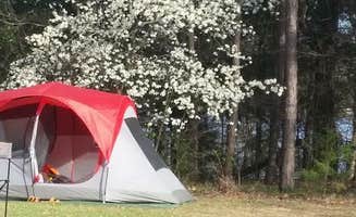 Dianne C.'s photo at Tyler State Park Campground near White Oak, TX