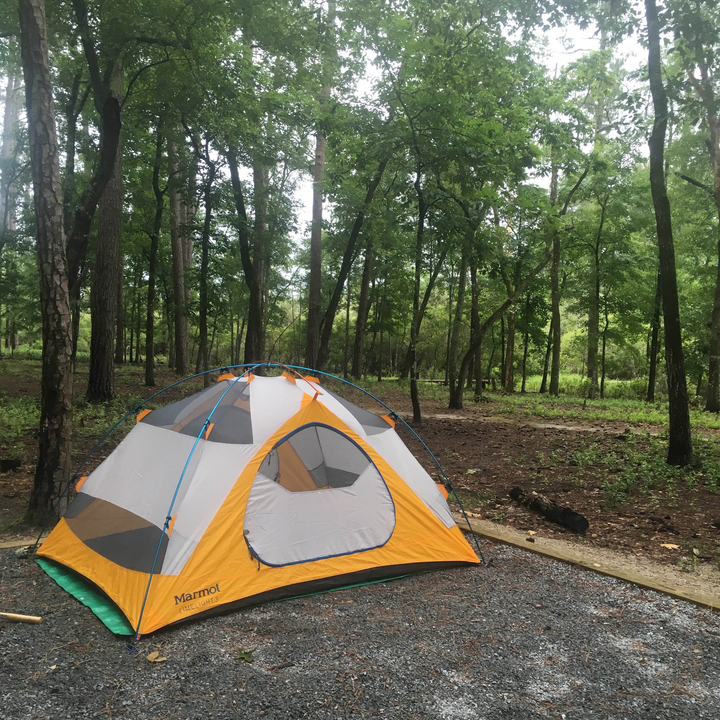 Camper submitted image from Goose Creek State Park Campground - 4