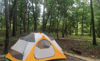 Chip G.'s photo at Goose Creek State Park Campground near Washington, NC