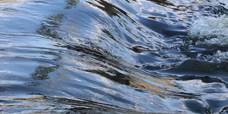 Camper submitted image from Moccasin Branch Campground — Raven Rock State Park