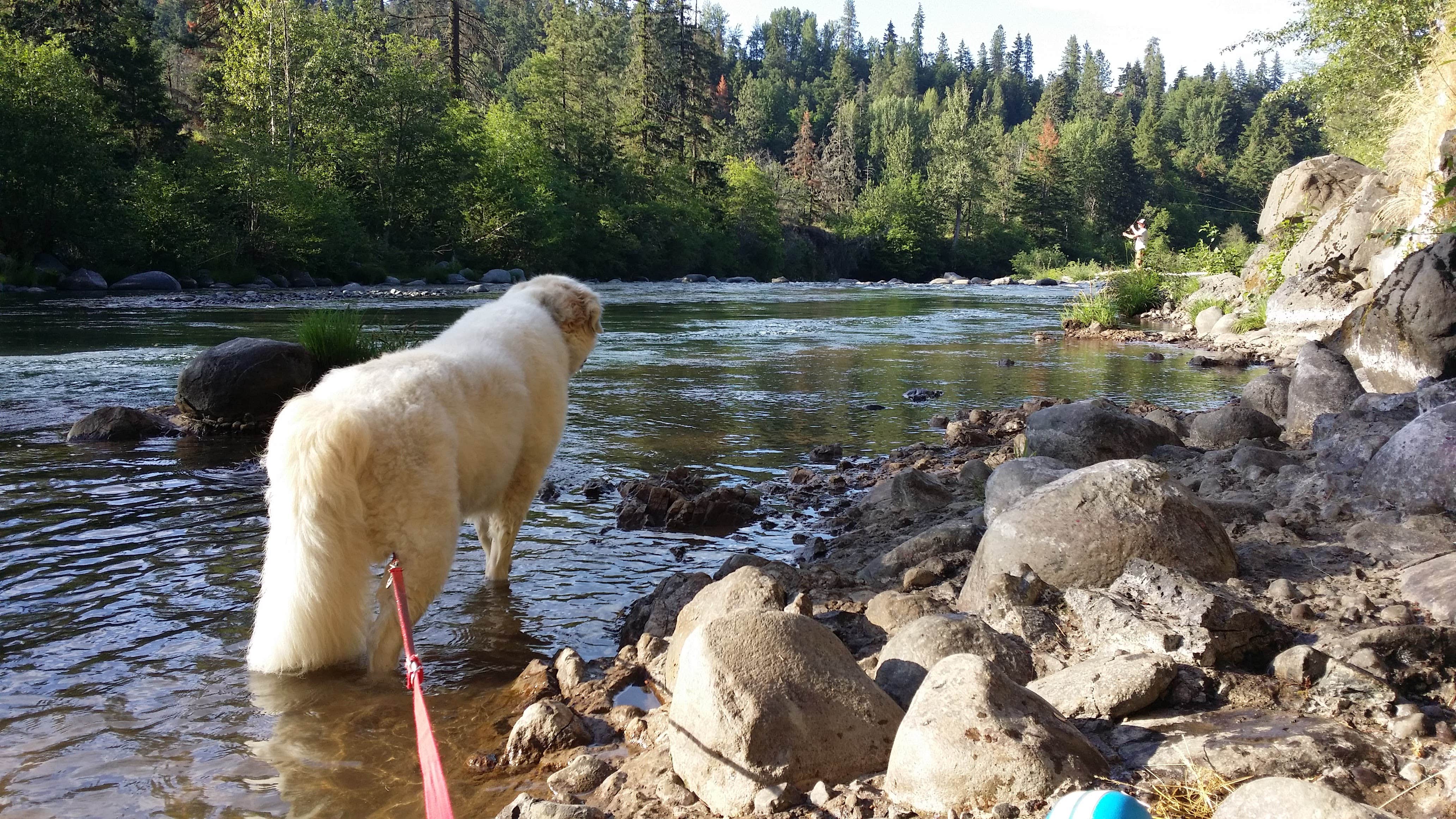 Camper submitted image from Tucker Park Campground - 1